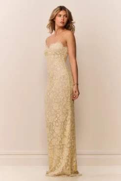 Ciona Sequin Lace Gown