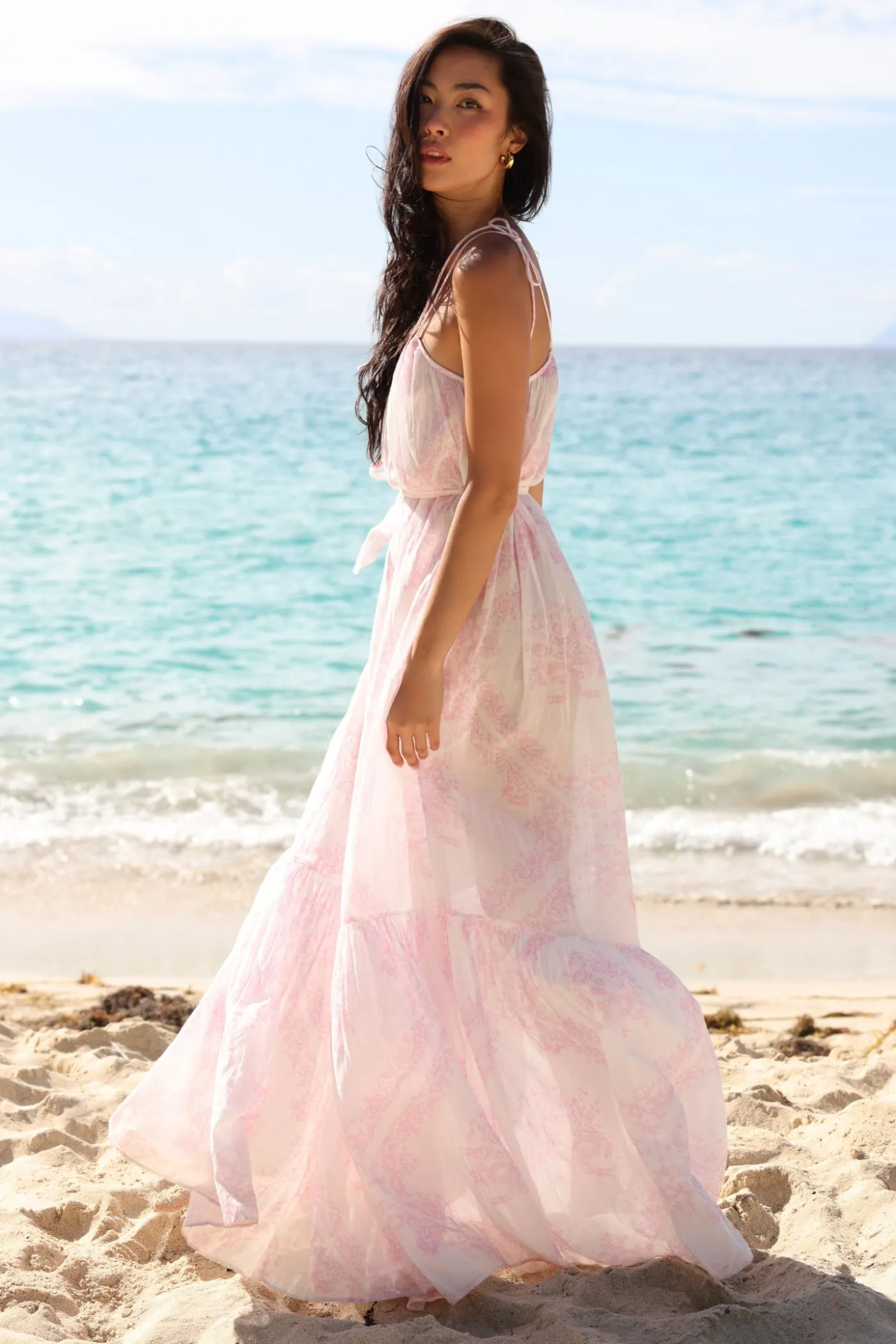 Hale Cotton Toile Print Cover-Up Dress