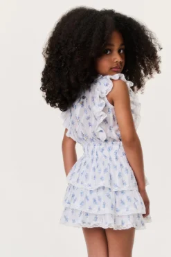 Little Girls Indigo Cloud Decker Dress