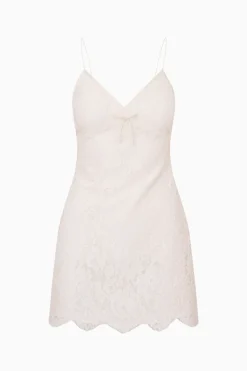 Petaline Lace Mini Dress