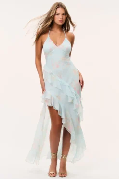 Vailo Floral Silk Chiffon Dress