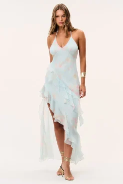 Vailo Floral Silk Chiffon Dress