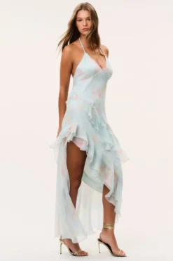 Vailo Floral Silk Chiffon Dress