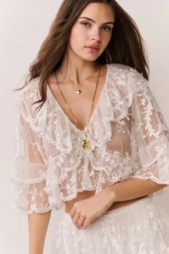 Vessia Sheer Embroidered Mesh Top